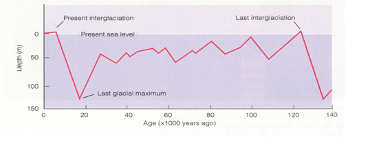 Interglaciation